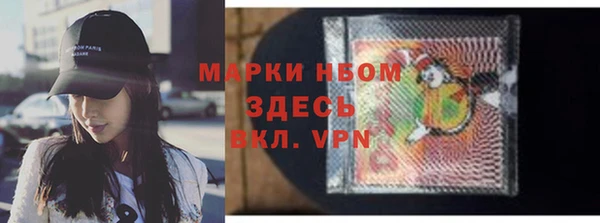 стаф Алзамай